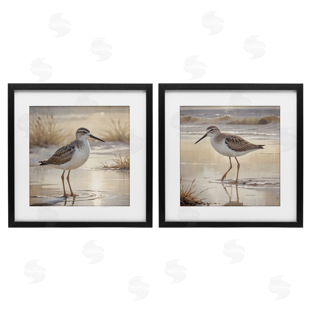 Susan Arnot Sunlit Sandpipers Wading Shore Black Framed Print Under Glass Set