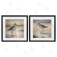 Susan Arnot | Sunlit Sandpipers Wading Shore