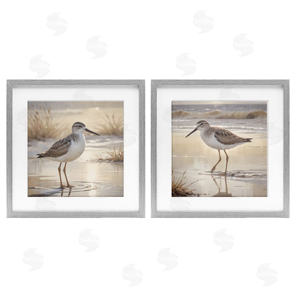 Susan Arnot Sunlit Sandpipers Wading Shore Gray Framed Print Under Glass Set