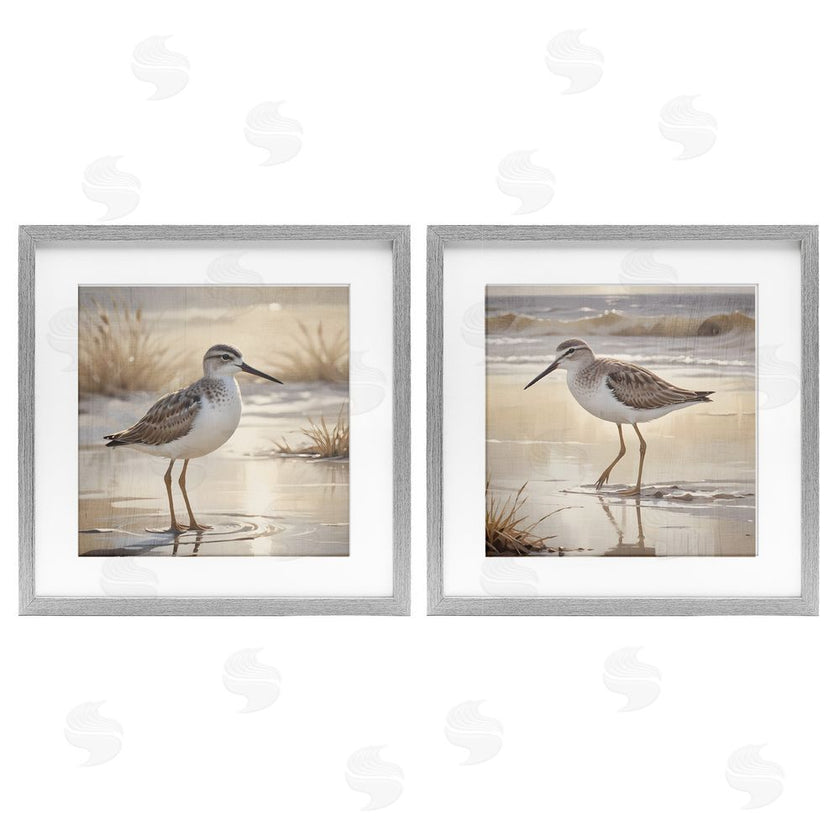 Susan Arnot | Sunlit Sandpipers Wading Shore