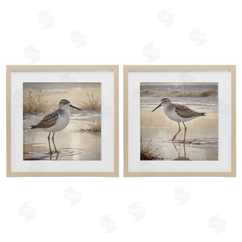 Susan Arnot Sunlit Sandpipers Wading Shore Birch Framed Print Under Glass Set