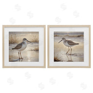 Susan Arnot | Sunlit Sandpipers Wading Shore