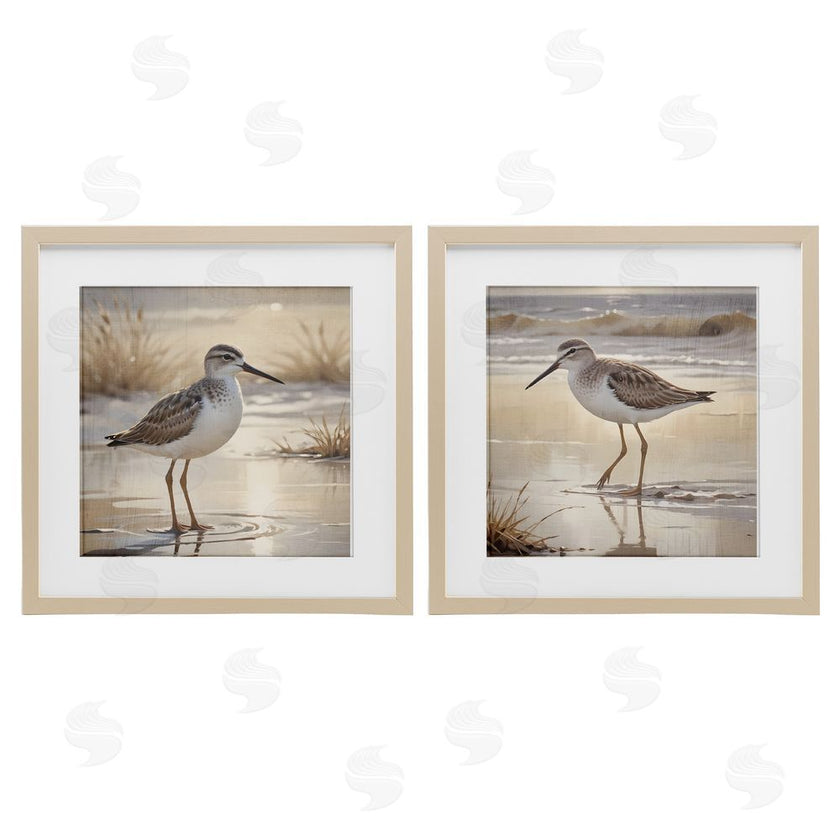 Susan Arnot | Sunlit Sandpipers Wading Shore