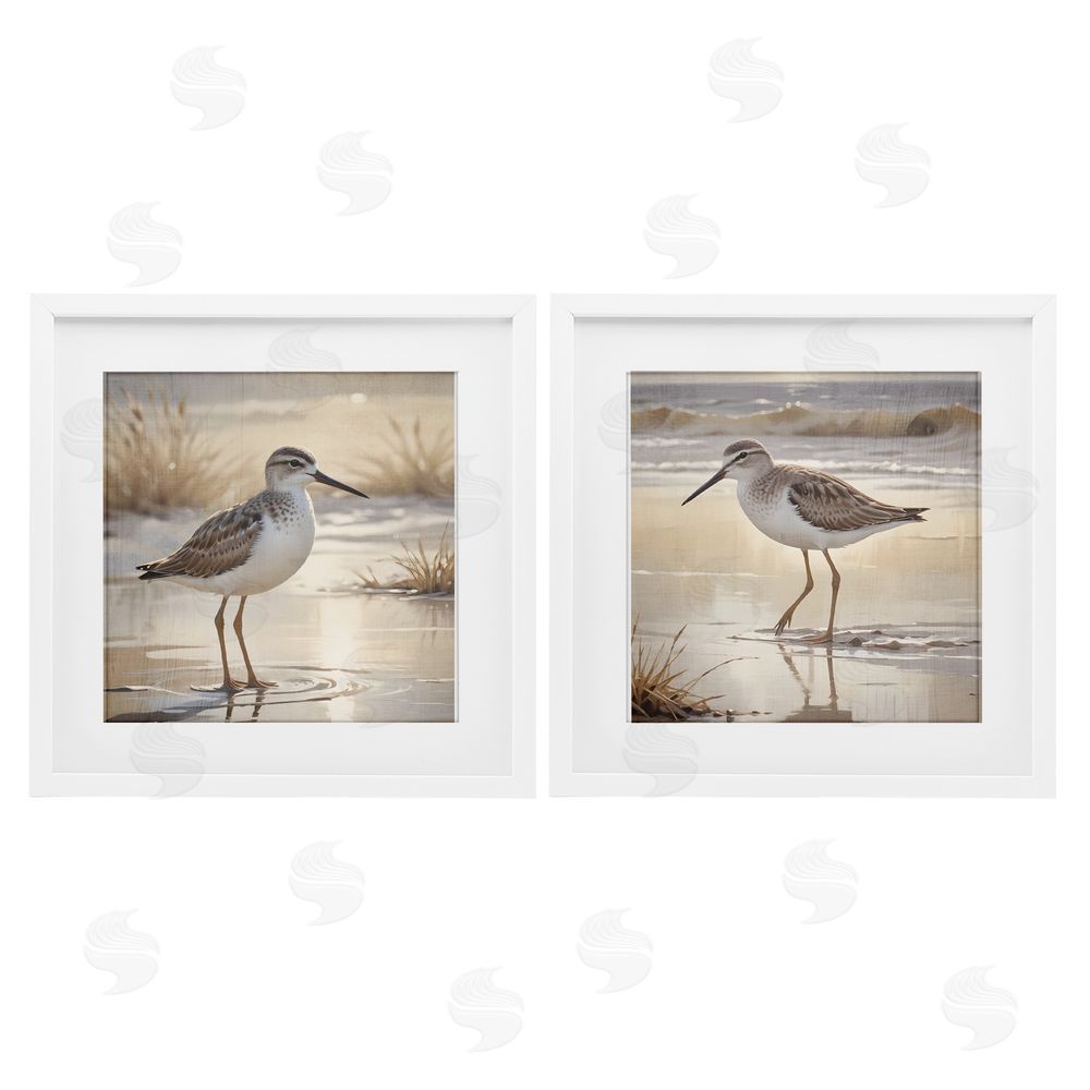 Susan Arnot Sunlit Sandpipers Wading Shore White Framed Print Under Glass Set