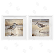 Susan Arnot | Sunlit Sandpipers Wading Shore
