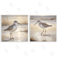 Susan Arnot | Sunlit Sandpipers Wading Shore