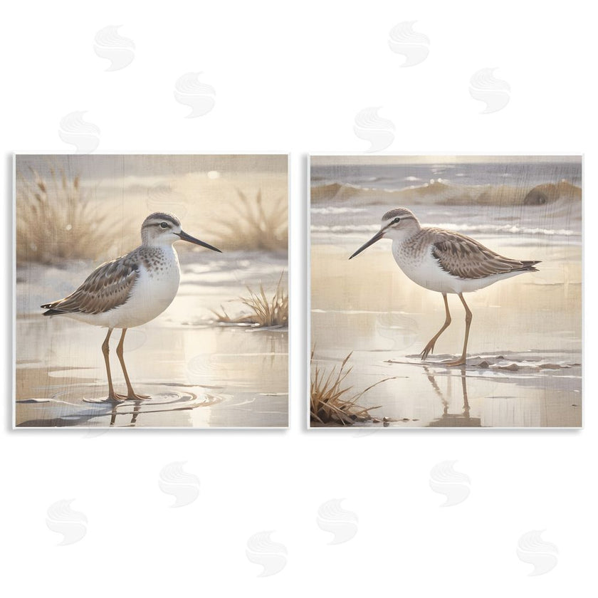 Susan Arnot | Sunlit Sandpipers Wading Shore