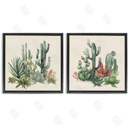 Nan | Mojave Desert Cacti