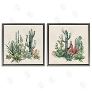 Nan | Mojave Desert Cacti