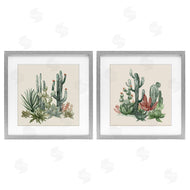 Nan | Mojave Desert Cacti