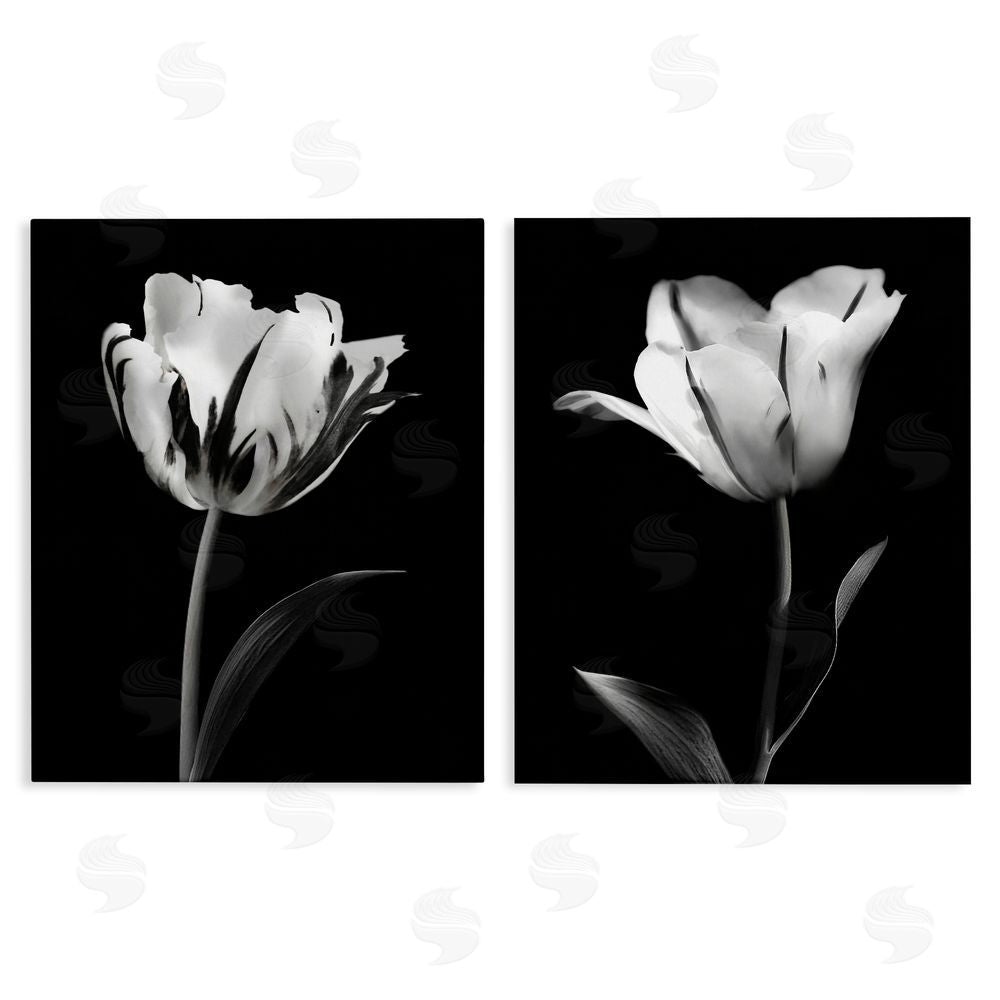CAD Designs Contrasting Modern Flowers Canvas Wall Art Set