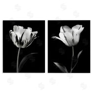 CAD Designs | Contrasting Modern Flowers