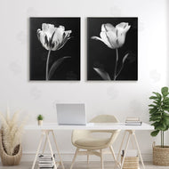 CAD Designs | Contrasting Modern Flowers