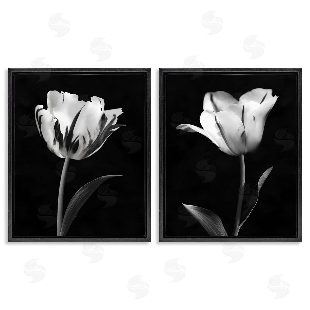 CAD Designs Contrasting Modern Flowers Black Floating Frame Canvas Wall Art Set