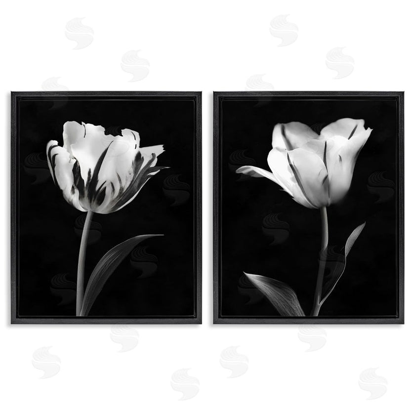 CAD Designs | Contrasting Modern Flowers
