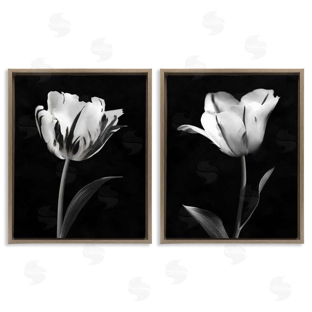 CAD Designs Contrasting Modern Flowers Brown Floating Frame Canvas Art Set