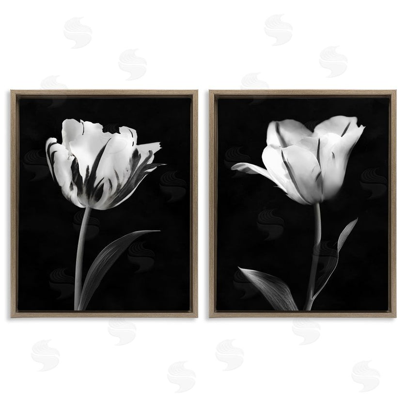CAD Designs | Contrasting Modern Flowers