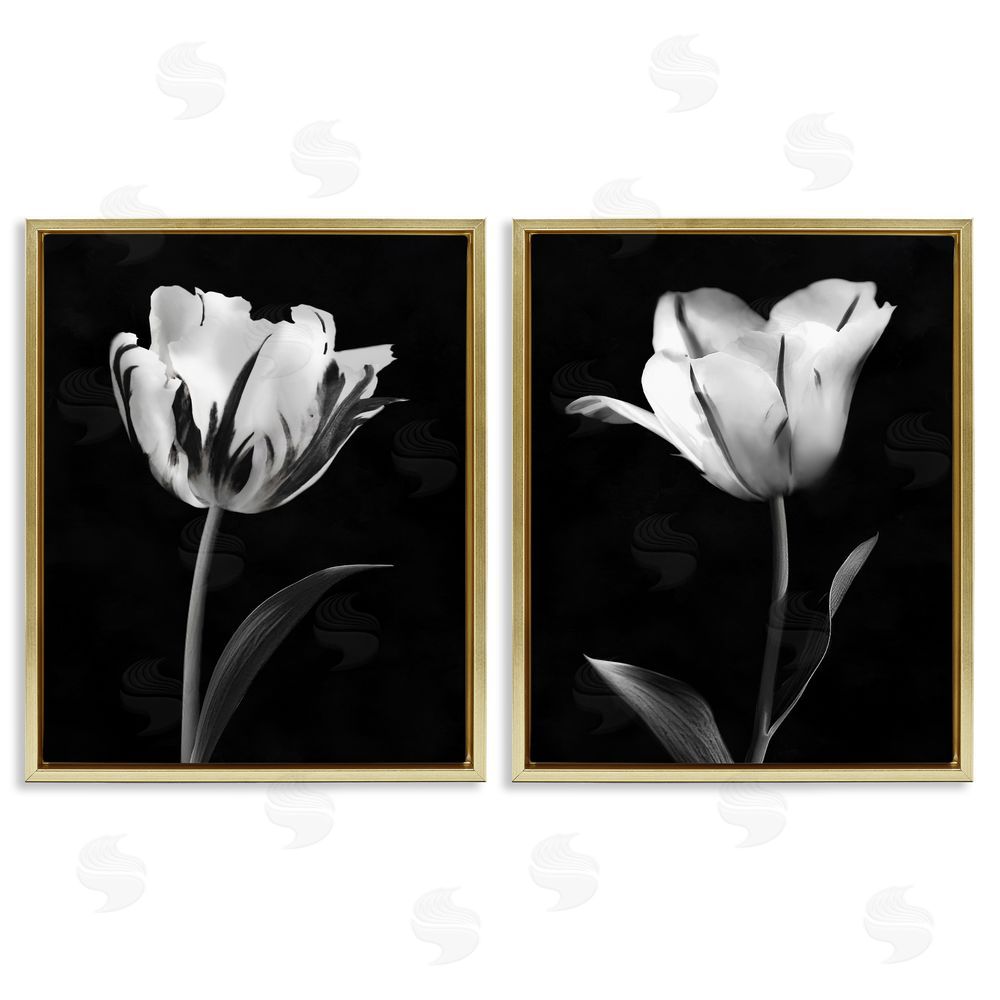 CAD Designs Contrasting Modern Flowers Gold Floating Frame Canvas Art Set