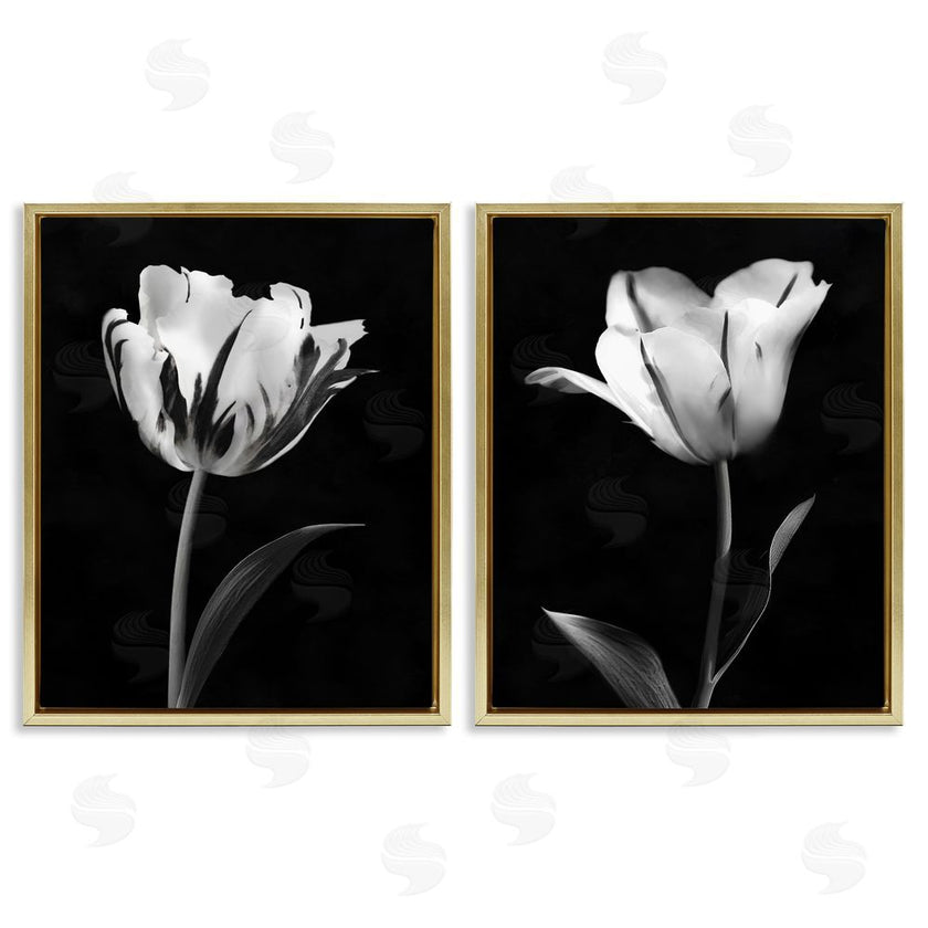 CAD Designs | Contrasting Modern Flowers