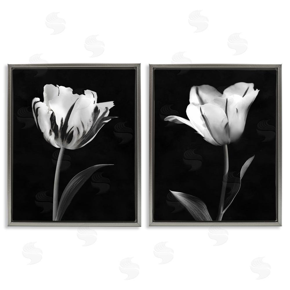 CAD Designs Contrasting Modern Flowers Gray Floating Frame Canvas Art Set