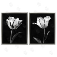 CAD Designs | Contrasting Modern Flowers