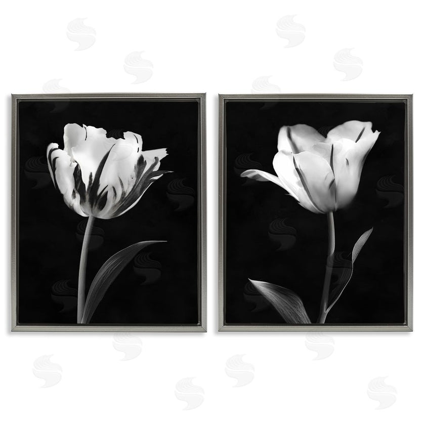 CAD Designs | Contrasting Modern Flowers