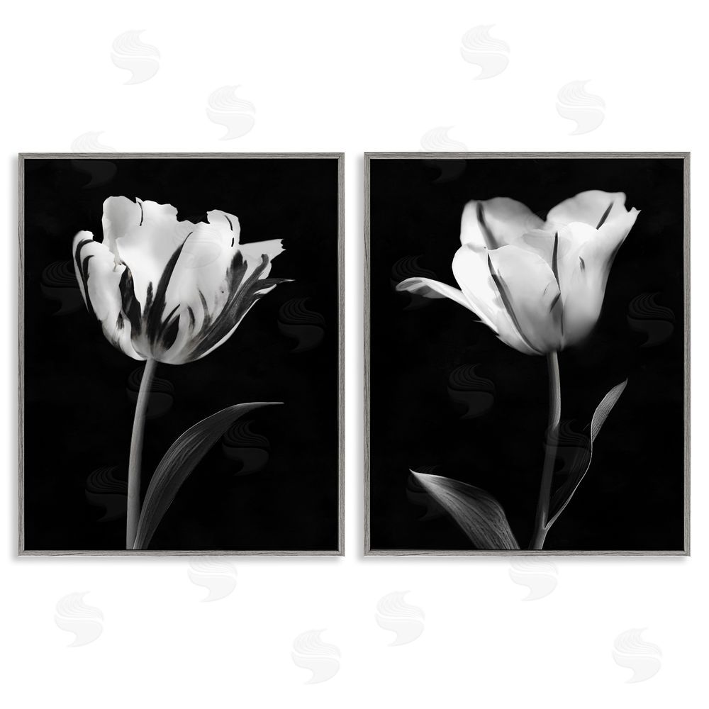 CAD Designs Contrasting Modern Flowers Gray Framed Giclee Art Set