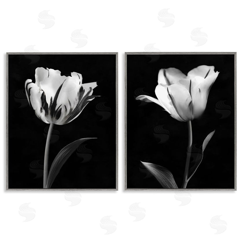 CAD Designs | Contrasting Modern Flowers