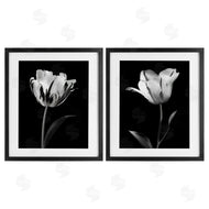 CAD Designs | Contrasting Modern Flowers