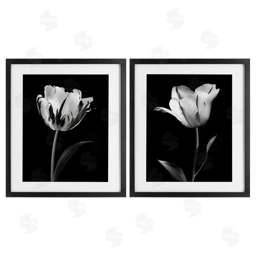 CAD Designs | Contrasting Modern Flowers