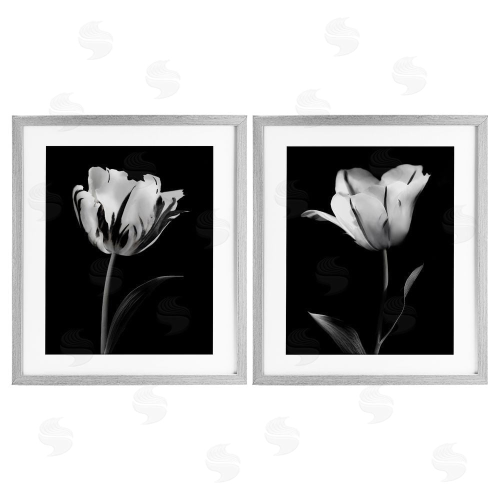 CAD Designs Contrasting Modern Flowers Gray Framed Print Under Glass Set