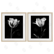 CAD Designs | Contrasting Modern Flowers