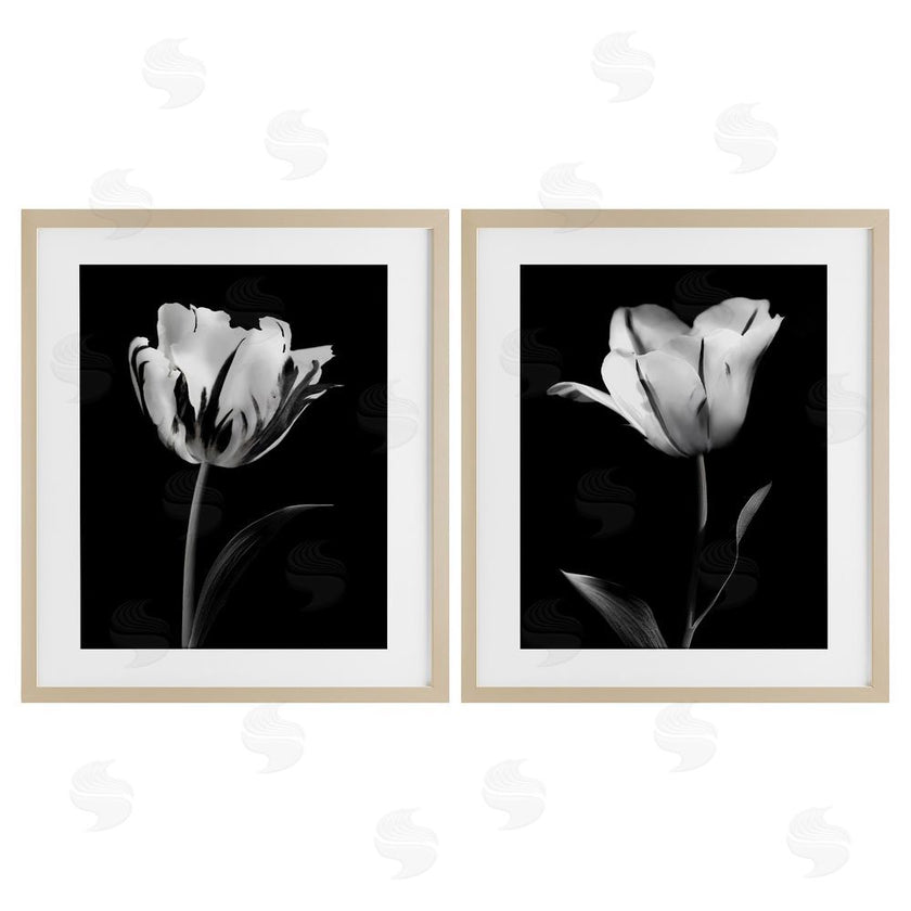 CAD Designs | Contrasting Modern Flowers