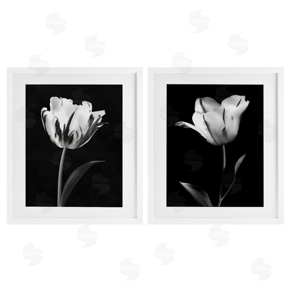 CAD Designs Contrasting Modern Flowers White Framed Print Under Glass Set