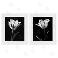 CAD Designs | Contrasting Modern Flowers