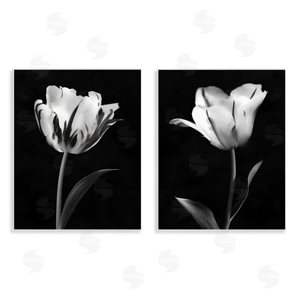 CAD Designs Contrasting Modern Flowers Wall Plaque Printed Art Set