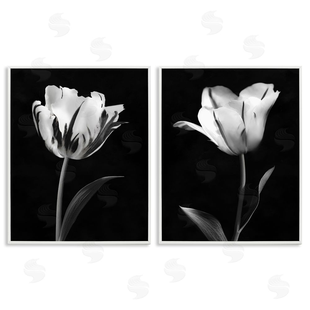 CAD Designs Contrasting Modern Flowers White Frame Giclee Art Set
