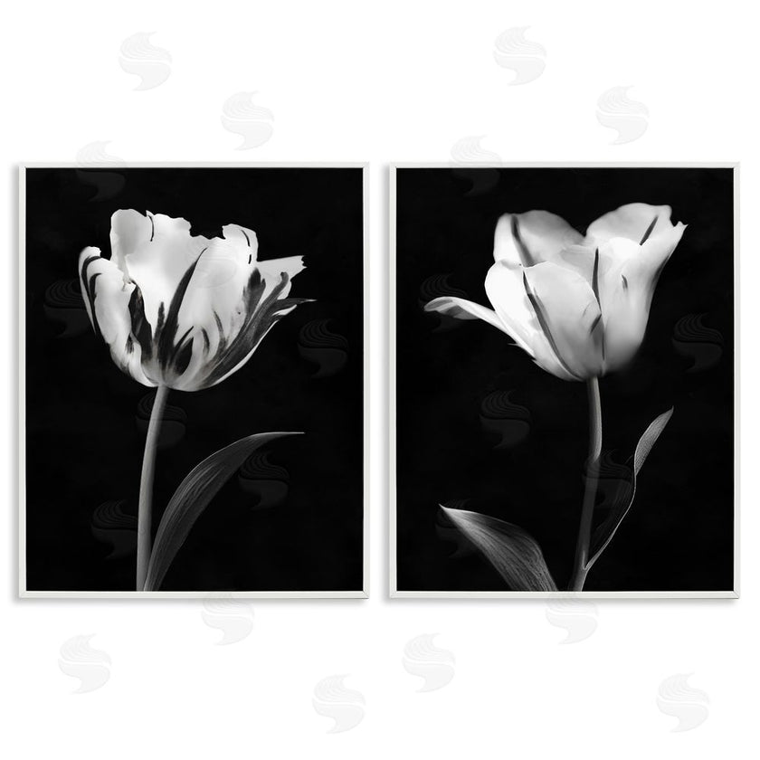 CAD Designs | Contrasting Modern Flowers
