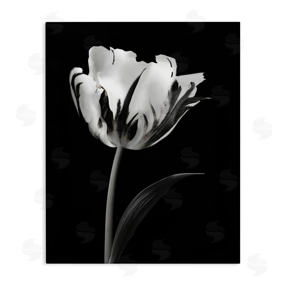 CAD Designs Modern Flower Stark Black Canvas Wall Art Print