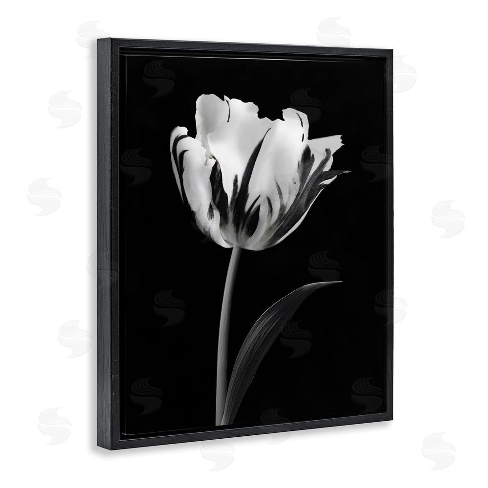 CAD Designs Modern Flower Stark Black Black Floating Frame Canvas Wall Art Print