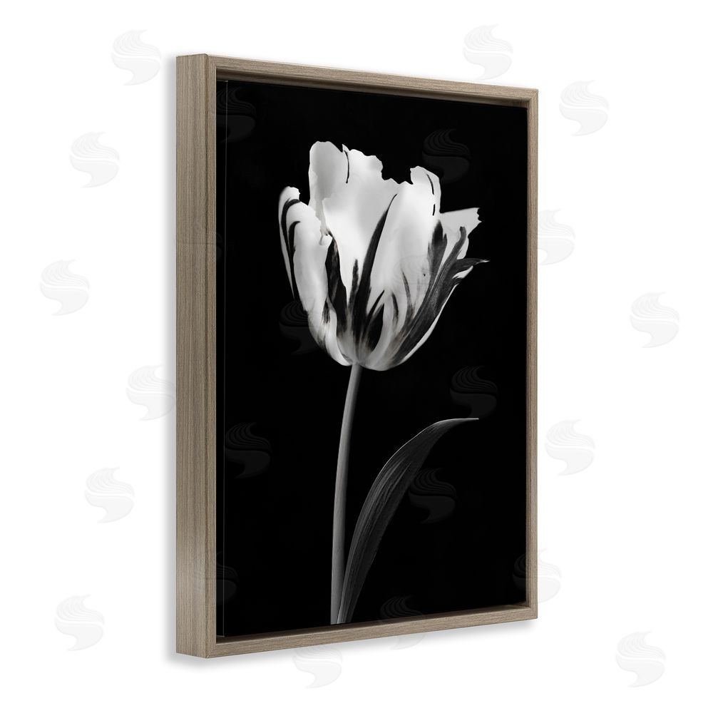 CAD Designs Modern Flower Stark Black Brown Floating Frame Canvas Art Print