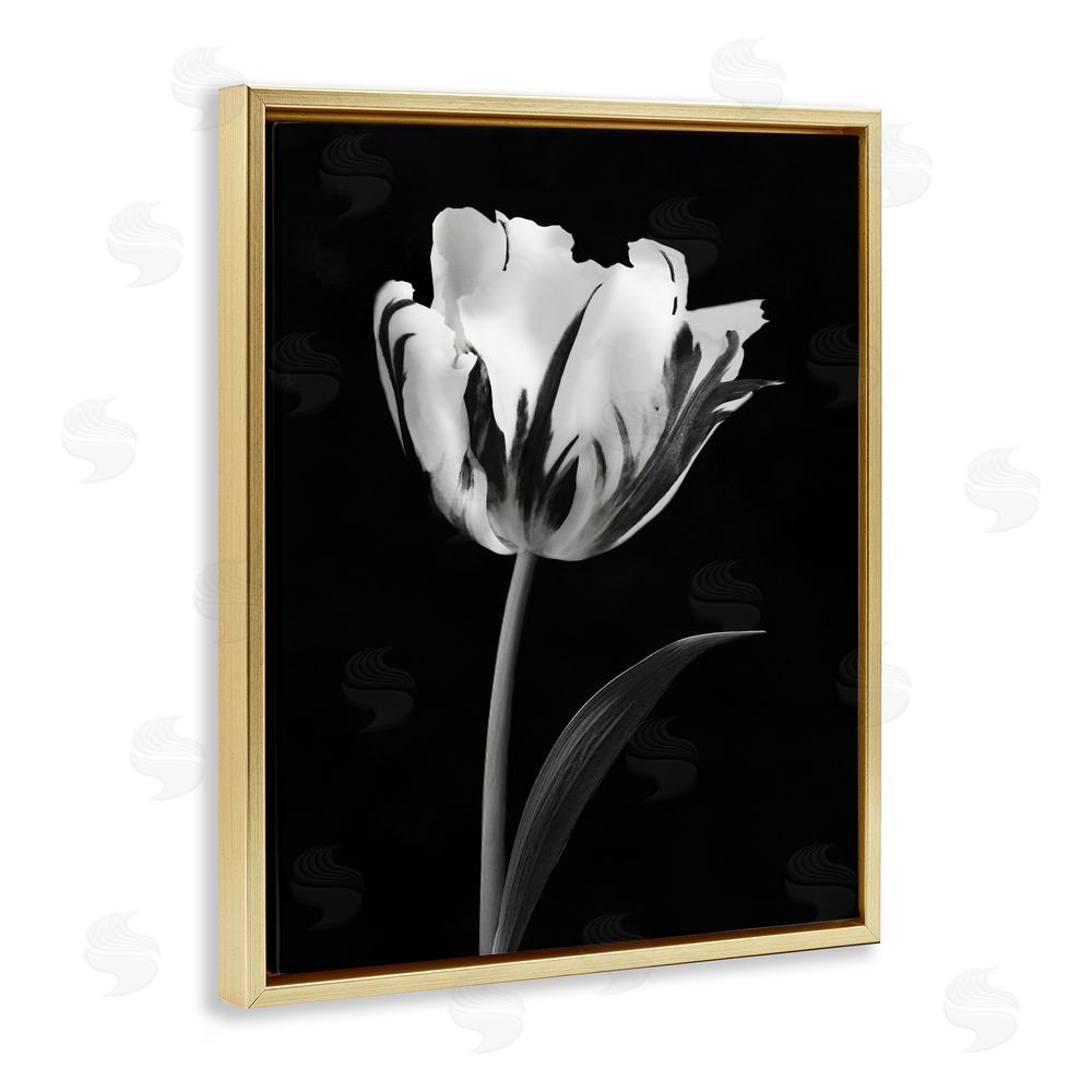 CAD Designs Modern Flower Stark Black Gold Floating Frame Canvas Art Print