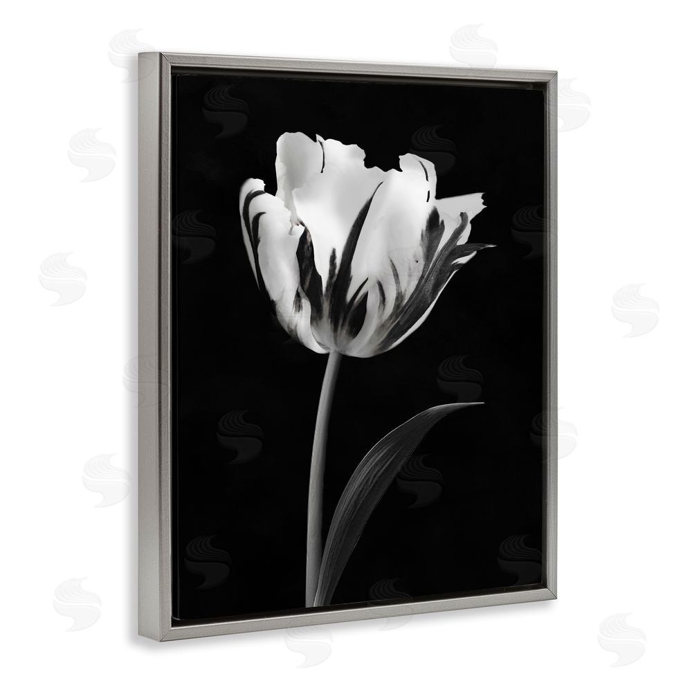 CAD Designs Modern Flower Stark Black Gray Floating Frame Canvas Art Print