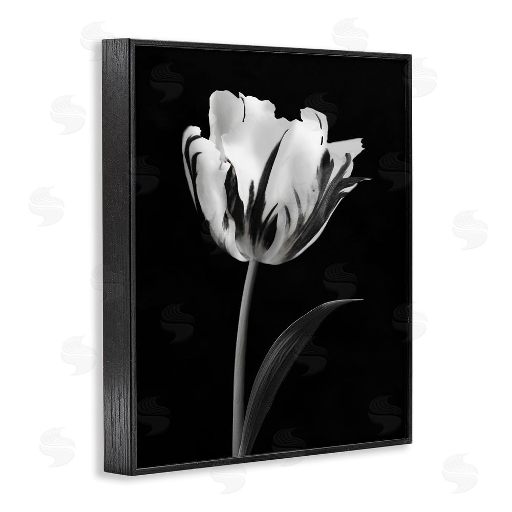 CAD Designs Modern Flower Stark Black Black Framed Giclee Art Print
