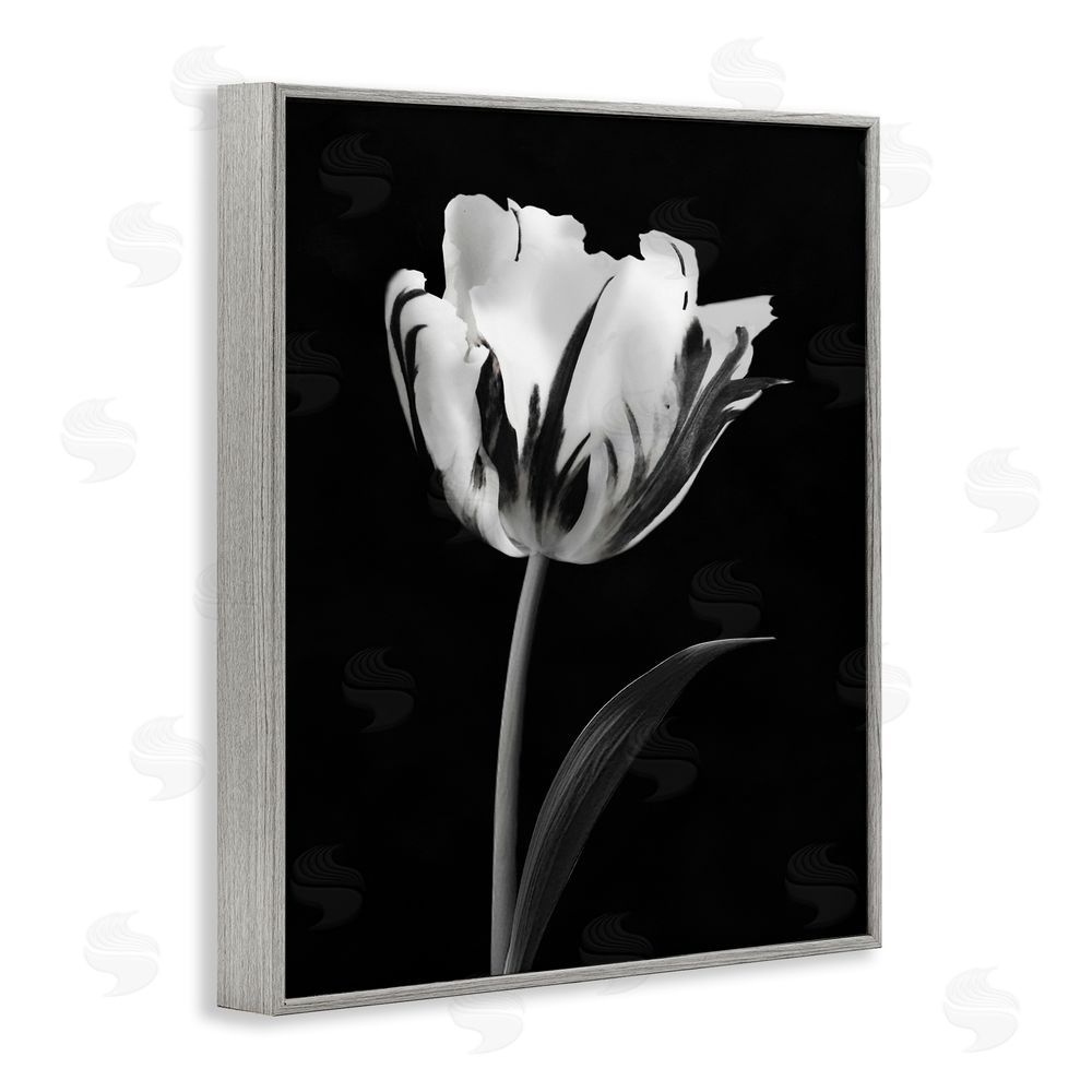 CAD Designs Modern Flower Stark Black Gray Framed Giclee Art Print