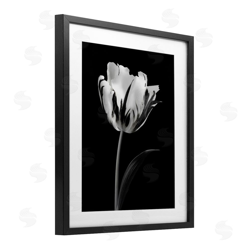 CAD Designs Modern Flower Stark Black Black Framed Print Under Glass Art
