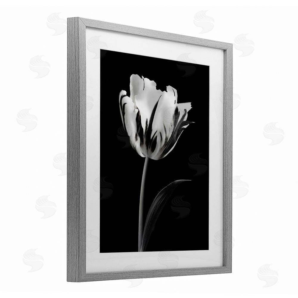 CAD Designs Modern Flower Stark Black Gray Framed Print Under Glass Art