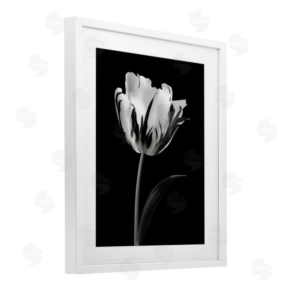 CAD Designs Modern Flower Stark Black White Framed Print Under Glass Art