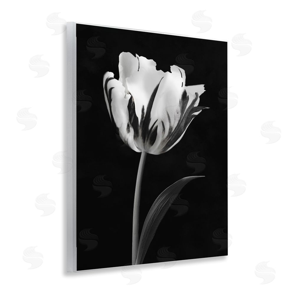 CAD Designs Modern Flower Stark Black Wall Plaque Art Print