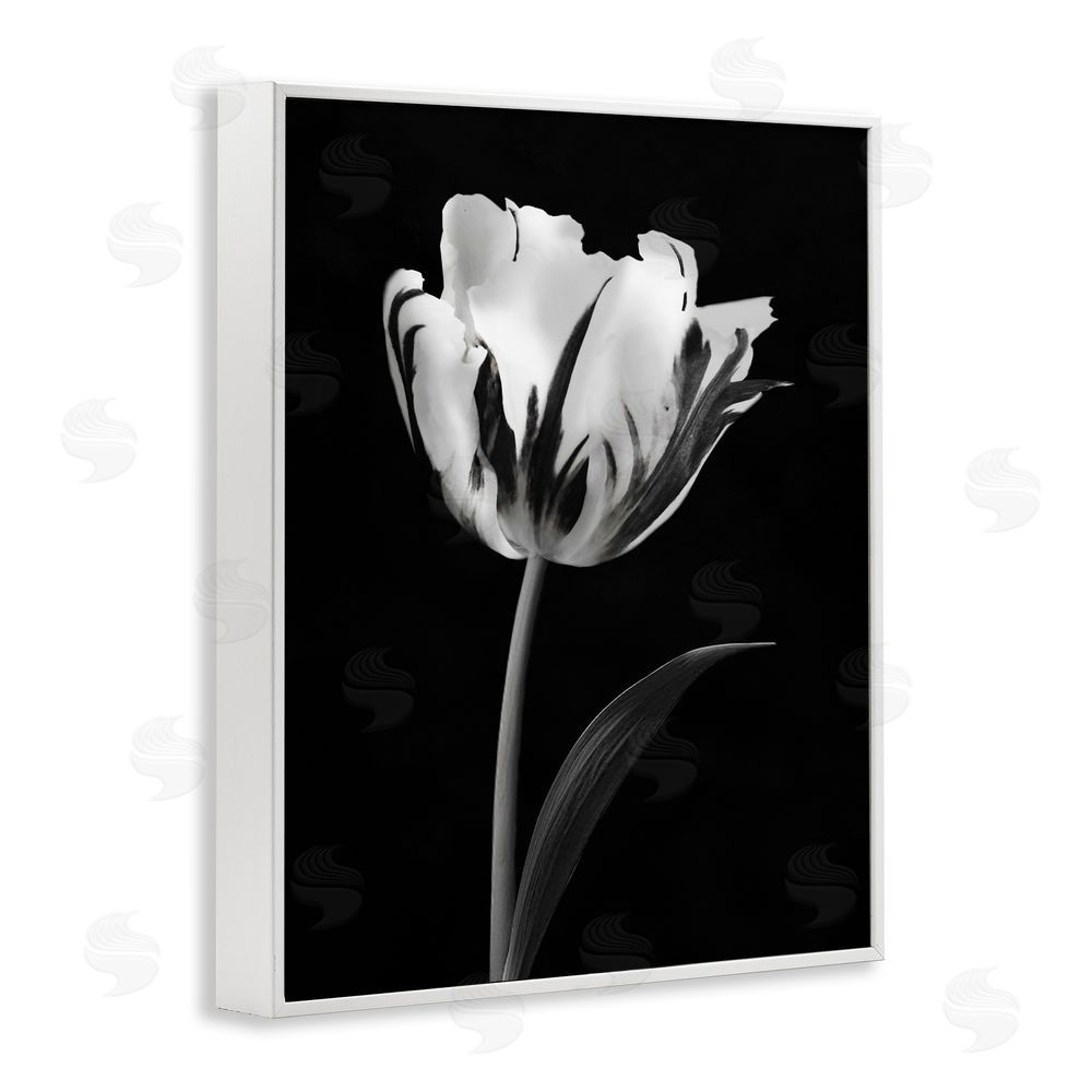 CAD Designs Modern Flower Stark Black White Frame Giclee Art Print